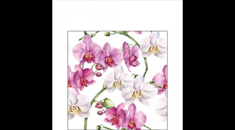 AMB.12519605 Elegant orchids white papírszalvéta 25x25cm,20db-os