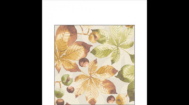 AMB.12519715 Castanea papírszalvéta 25x25cm, 20db-os