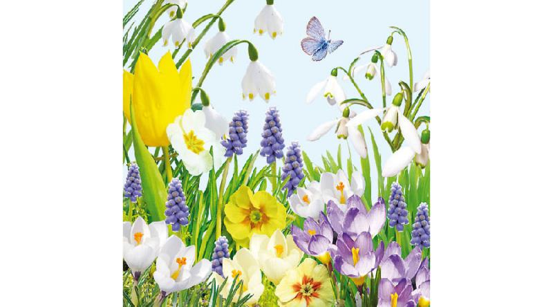 AMB.13307760 Spring Time papírszalvéta 33x33cm,20db-os