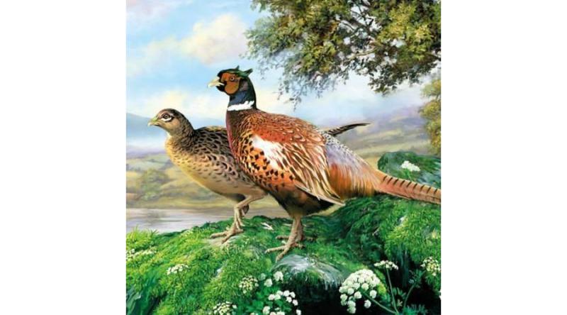 AMB.13308930 Pheasant papírszalvéta 33x33cm,20db-os