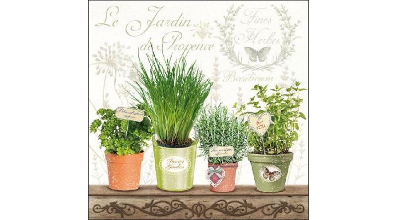 AMB.13309790 Le Jardin de Provence papírszalvéta 33x33cm, 20db-os