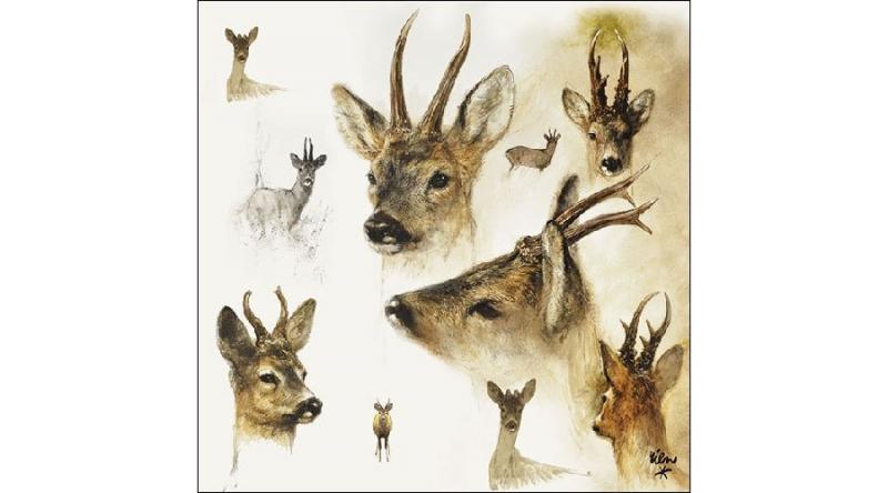 AMB.13311010 Portraits of Deer papírszalvéta 33x33cm,20db-os