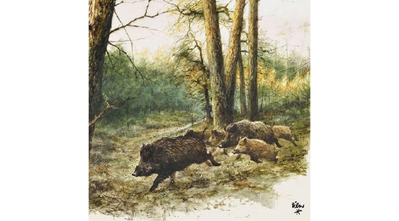 AMB.13311020 Wild Boars in the Woods papírszalvéta 33x33cm,20db-os