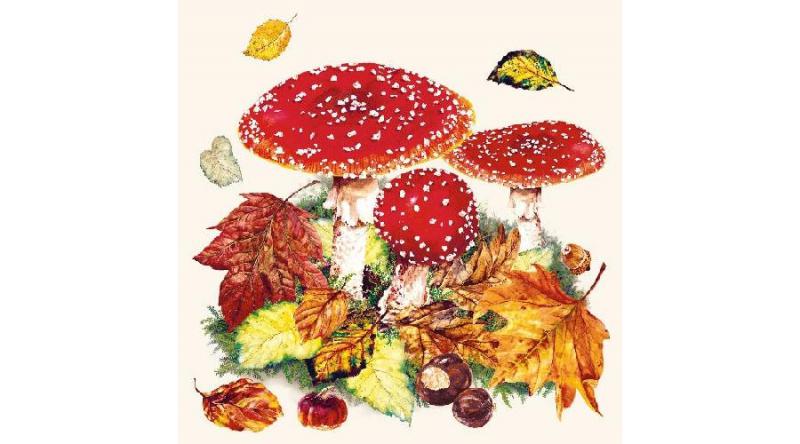 AMB.13311025 Fly Agaric papírszalvéta 33x33cm,20db-os