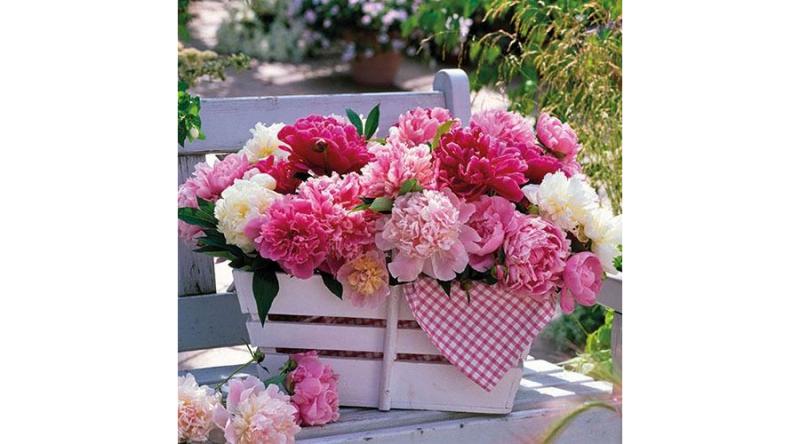 AMB.13311630 Peonies In Basket papírszalvéta 33x33cm,20db-os