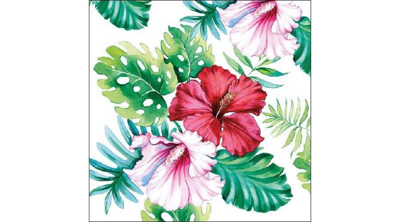 AMB.13313145 Hibiscus Floral White papírszalvéta 33x33cm,20db-os