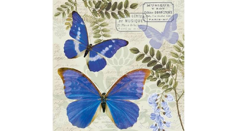 AMB.13313355 Blue Morpho papírszalvéta 33x33cm,20db-os