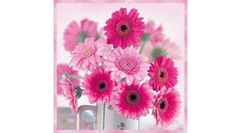 AMB.13314010 Pink Gerberas papírszalvéta 33x33cm,20db-os