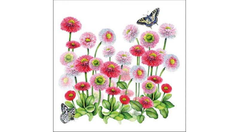 AMB.13314950 Bellis papírszalvéta 33x33cm, 20db-os