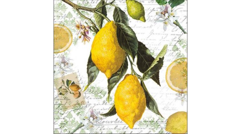 AMB.13314990 Lemon papírszalvéta 33x33cm,20db-os