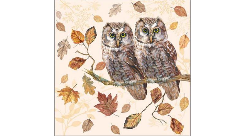 AMB.13315460 Owl Couple papírszalvéta 33x33cm, 20db-os