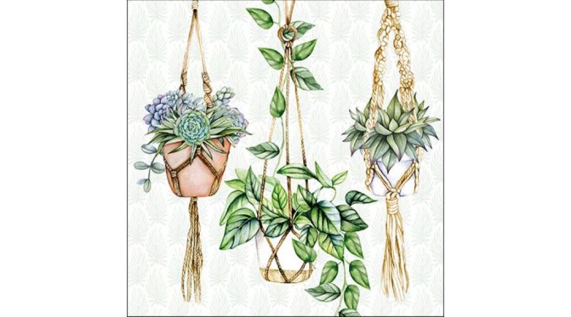 AMB.13316035 Hanging Plants papírszalvéta 33x33cm,20db-os