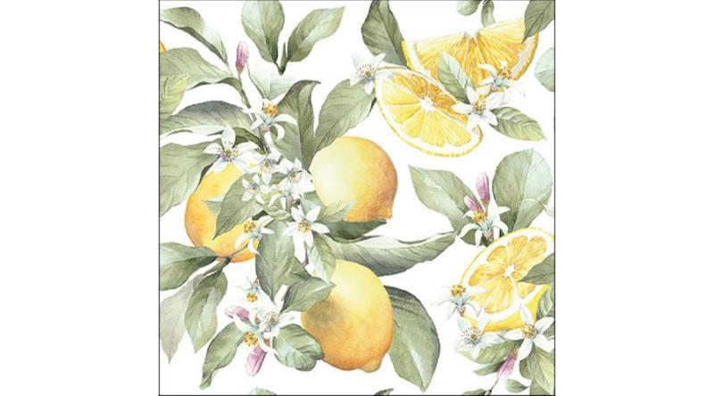 AMB.13316065 Limoni papírszalvéta 33x33cm,20db-os