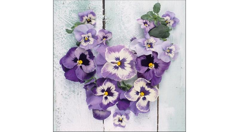 AMB.13316070 Pansy Heart papírszalvéta 33x33cm, 20db-os