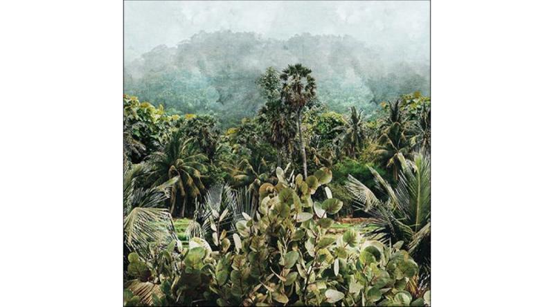 AMB.13316090 Rain Forrest papírszalvéta 33x33cm,20db-os