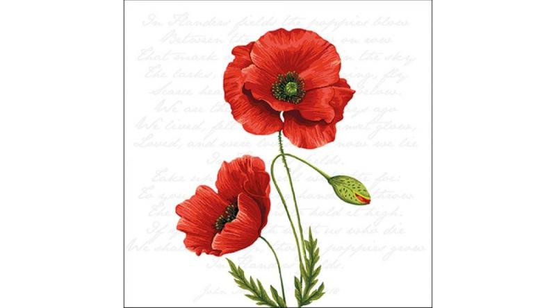 AMB.13316120 Proud Poppy papírszalvéta 33x33cm, 20db-os