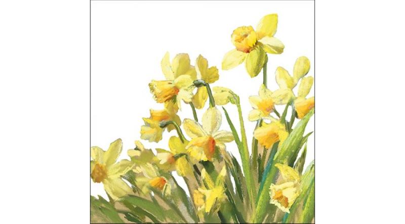 AMB.13316195 Golden Daffodils papírszalvéta 33x33cm, 20db-os