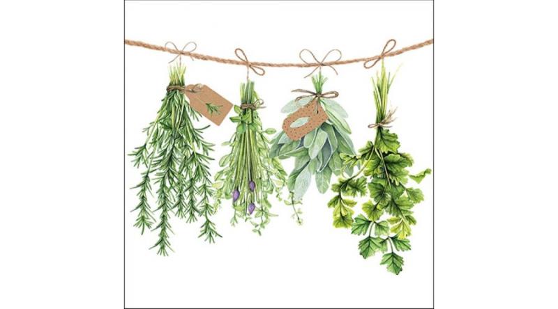 AMB.13316285 Fresh Herbs papírszalvéta 33x33cm,20db-os