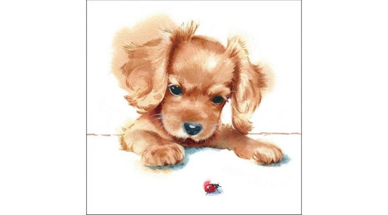 AMB.13316300 Puppy & Ladybird papírszalvéta 33x33cm,20db-os