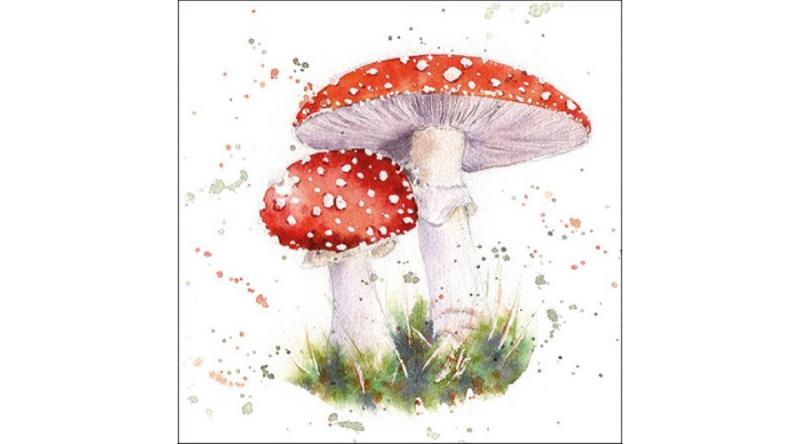 AMB.13316715 Painted Fly Agaric papírszalvéta 33x33cm, 20db-os