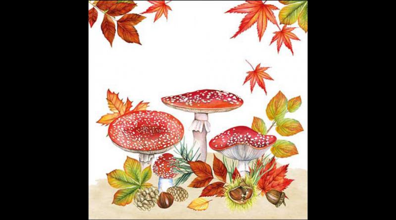 AMB.13316745 Fly agaric group papírszalvéta 33x33cm, 20db-os