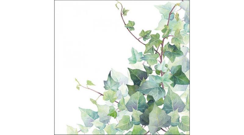 AMB.13317025 Hedera White papírszalvéta 33x33cm, 20db-os, borostyán