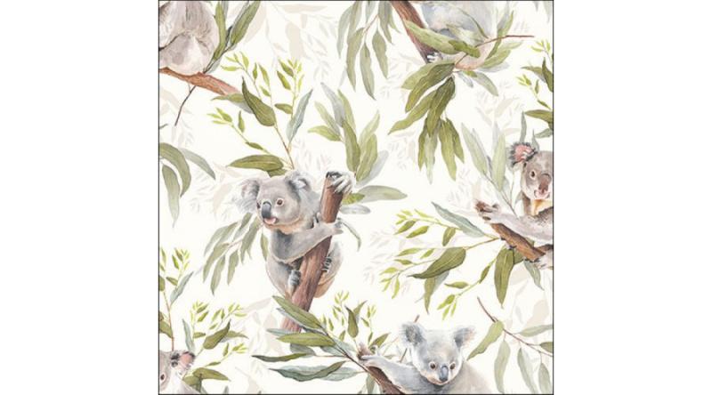 AMB.13317245 Koala Bears papírszalvéta 33x33cm, 20db-os