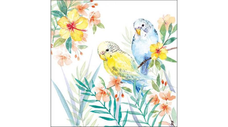 AMB.13317250 Budgies Couple papírszalvéta 33x33cm, 20db-os