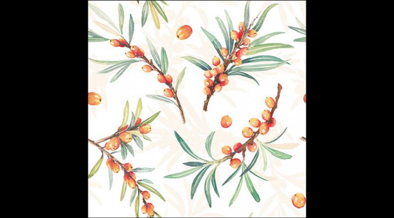 AMB.13317385 Sea buckthorn papírszalvéta 33x33cm,20db-os