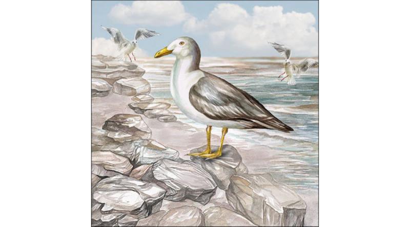 AMB.13317415 Seagull On The Shore papírszalvéta 33x33cm, 20db-os