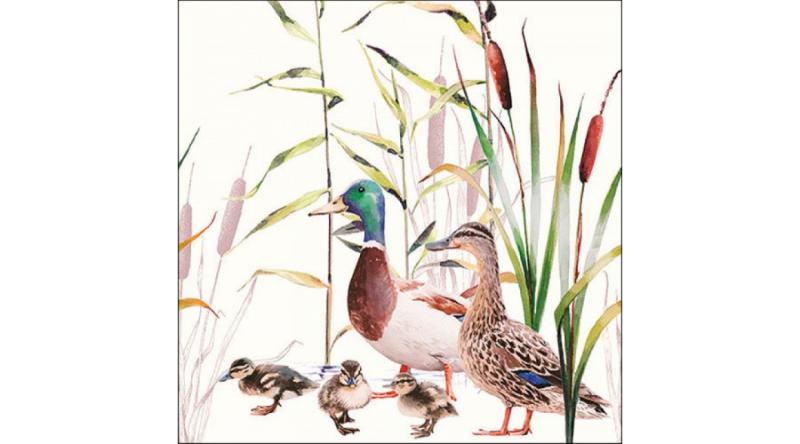 AMB.13317490 Ducks Couple papírszalvéta 33x33cm, 20db-os