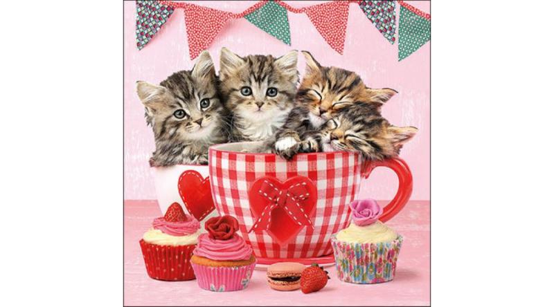 AMB.13317535 Cats in Tea Cups papírszalvéta 33x33cm, 20db-os