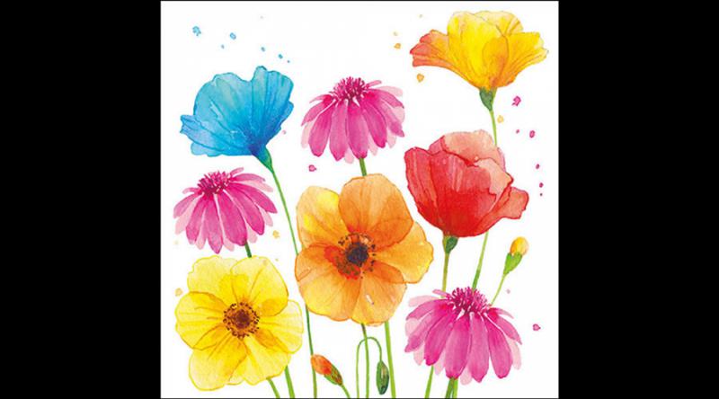 AMB.13317585 Colorfoul Summer Flowers papírszalvéta 33x33cm,20db-os