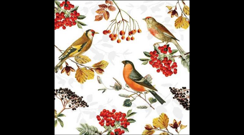 AMB.13317730 Autumn birds papírszalvéta 33x33cm, 20db-os