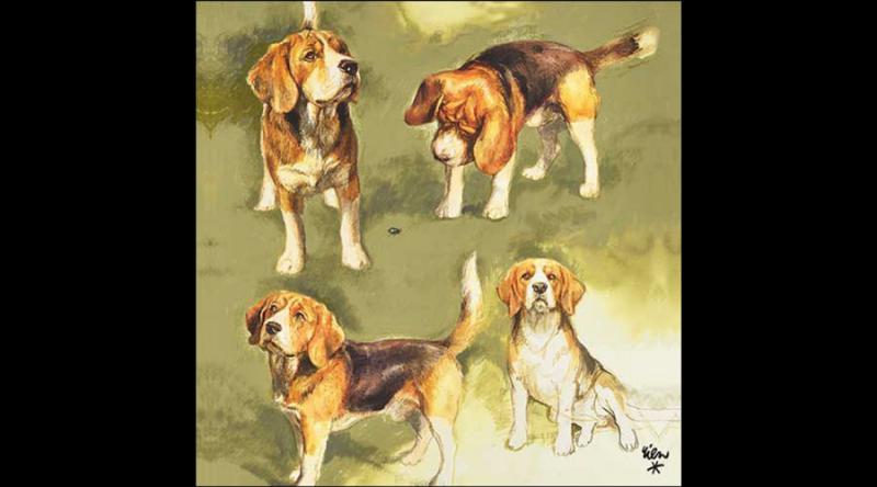 AMB.13317765 Beagles papírszalvéta 33x33cm, 20db-os