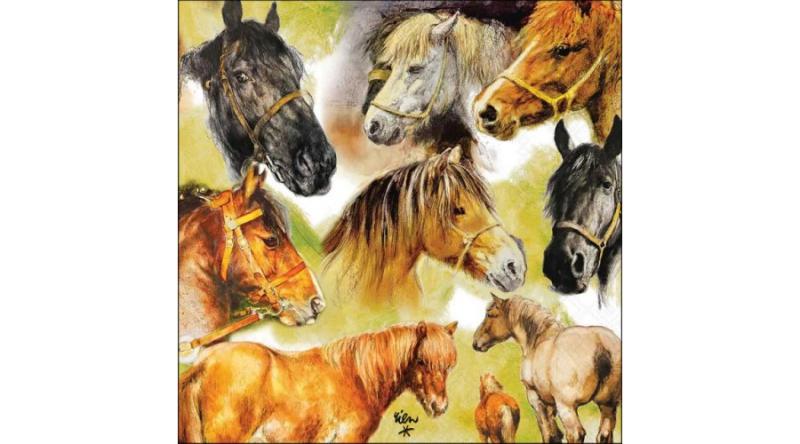 AMB.13317780 Collage of horses papírszalvéta 33x33cm, 20db-os