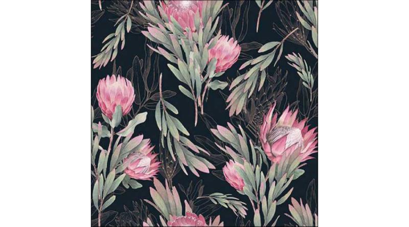 AMB.13318197 Protea black papírszalvéta 33x33cm, 20db-os