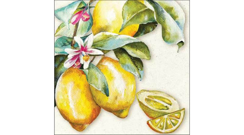 AMB.13318335 Sunny lemon papírszalvéta 33x33cm, 20db-os