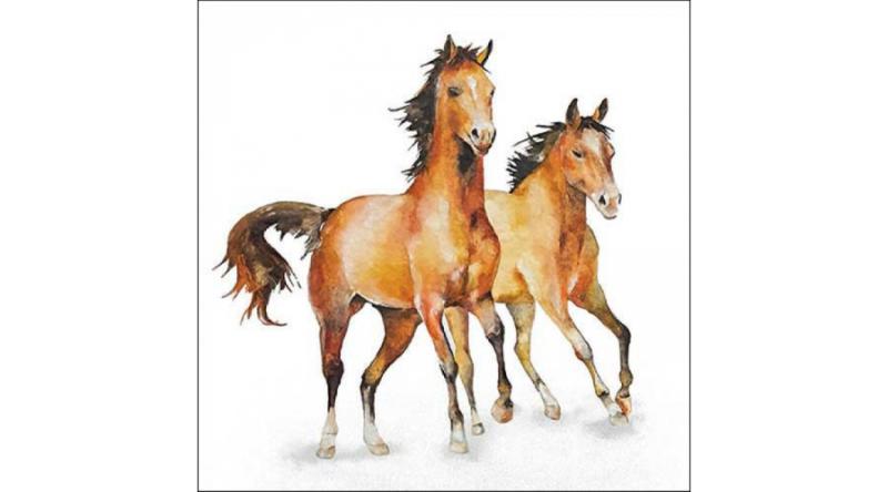 AMB.13318445 Wild horses papírszalvéta 33x33cm, 20db-os