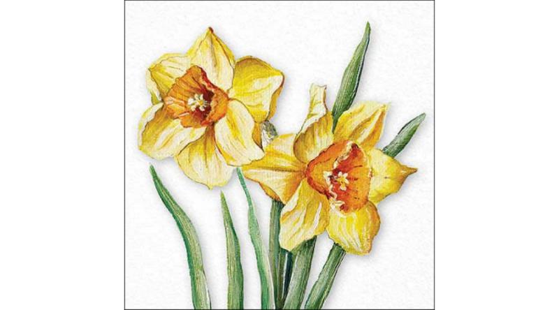 AMB.13318490 Flowering daffodils papírszalvéta 33x33cm, 20db-os