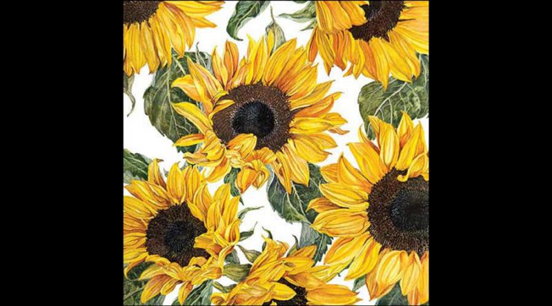 AMB.13318535 Sunflowers blossoming papírszalvéta 33x33cm,20db-os