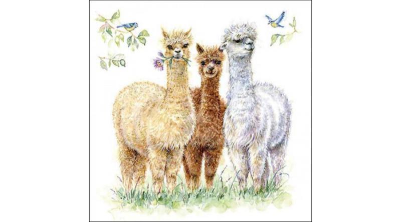 AMB.13318570 Alpaca friends papírszalvéta 33x33cm, 20db-os