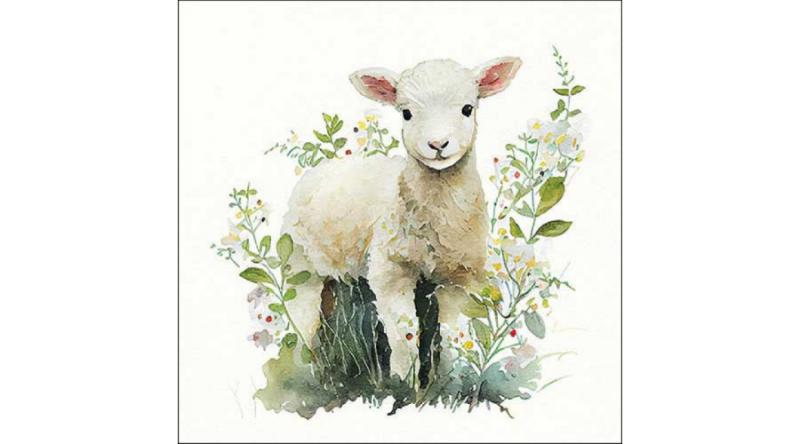 AMB.13318580 Lamb papírszalvéta 33x33cm, 20db-os