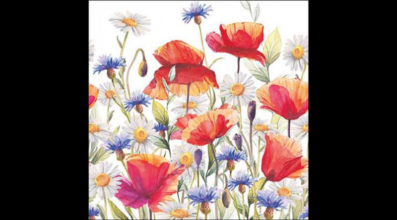 AMB.13318640 Poppies and cornflowers papírszalvéta 33x33cm, 20db-os