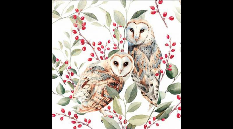 AMB.13318685 Barn owl couple papírszalvéta 33x33cm, 20db-os