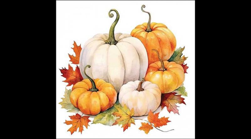 AMB.13318815 Pumpkin season papírszalvéta 33x33cm, 20db-os