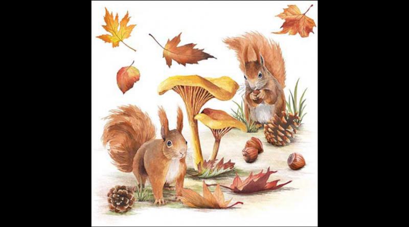 AMB.13318820 Squirrels go nuts papírszalvéta 33x33cm, 20db-os