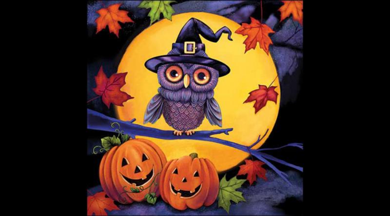 AMB.13319125 Halloween owl papírszalvéta 33x33cm, 20db-os