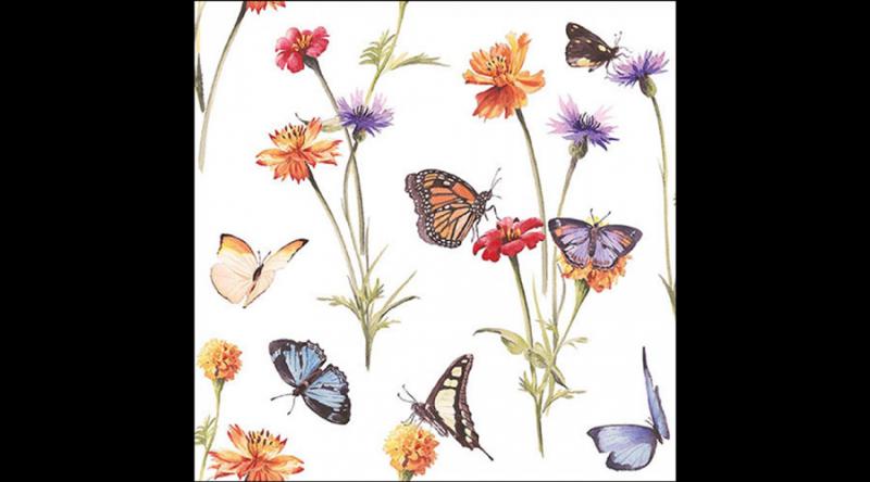 AMB.13319335 Butterfly garden white papírszalvéta 33x33cm, 20db-os