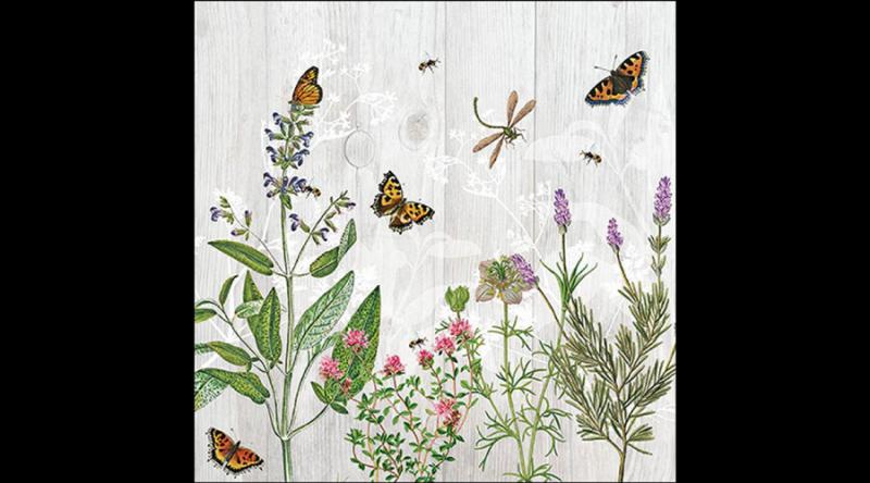 AMB.13319345 Herb Garden papírszalvéta 33x33cm, 20db-os